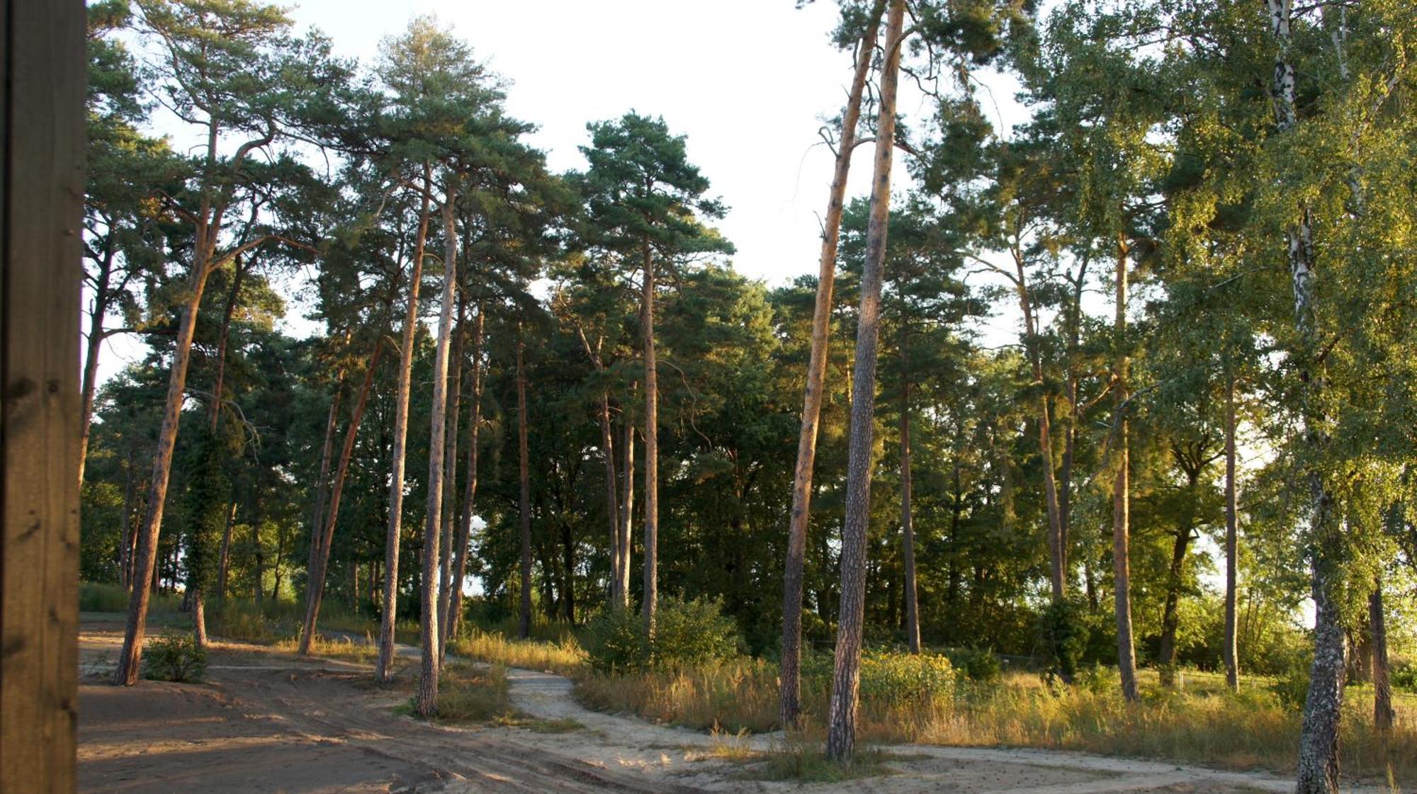 Marina Maisonette Seeblick Mit Pool Und Sauna Bad Saarow Kültér fotó